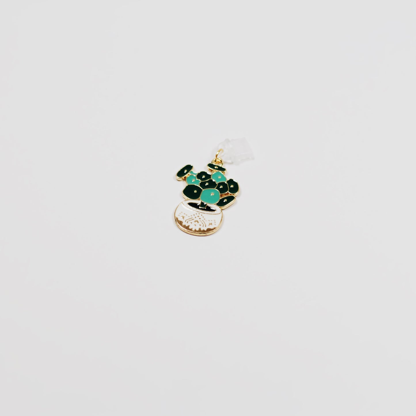 potted jade plant • Charm