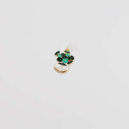 potted jade plant • Charm