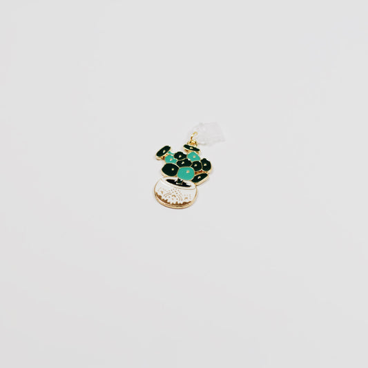 potted jade plant • Charm